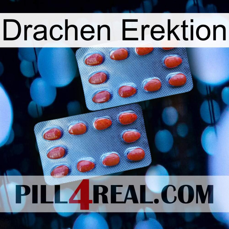 Dragon Erection 05